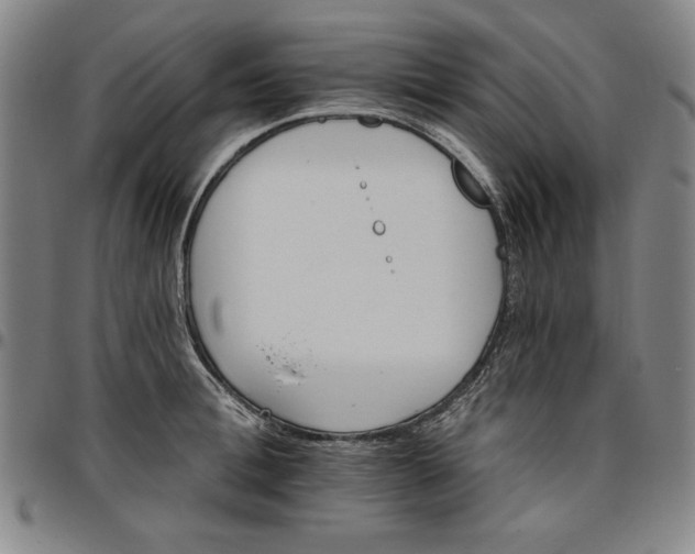 X0000096660996200802191302