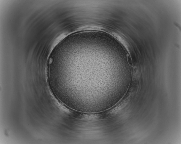 X0000096660997200802191302