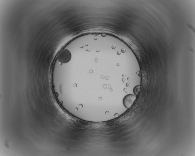 X0000096660998200802191302