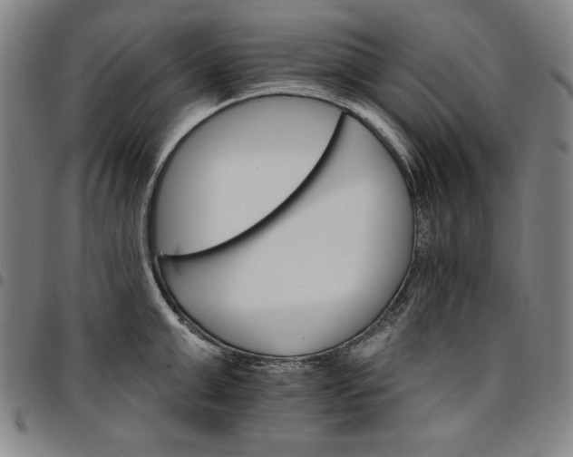 X0000096660999200802191302