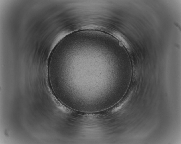 X0000096661000200802191302