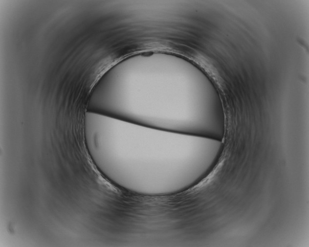 X0000096661001200802191302