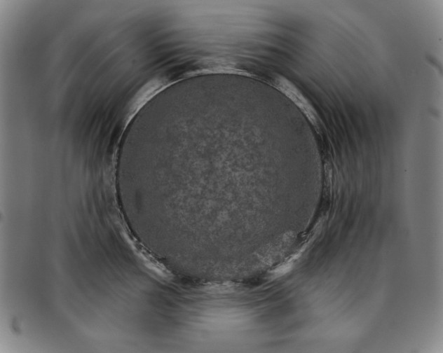 X0000096661002200802191302