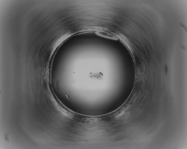 X0000096661003200802191302