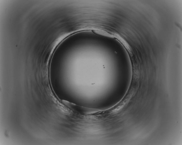 X0000096661004200802191302