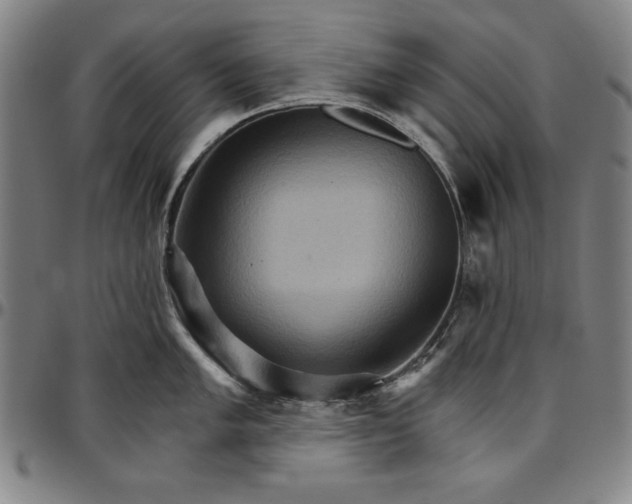 X0000096661005200802191302