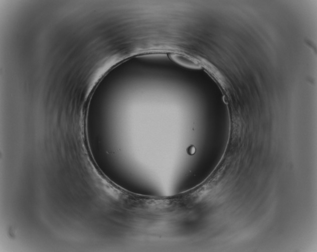 X0000096661006200802191302