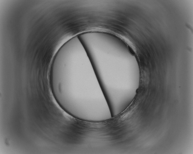 X0000096661007200802191302