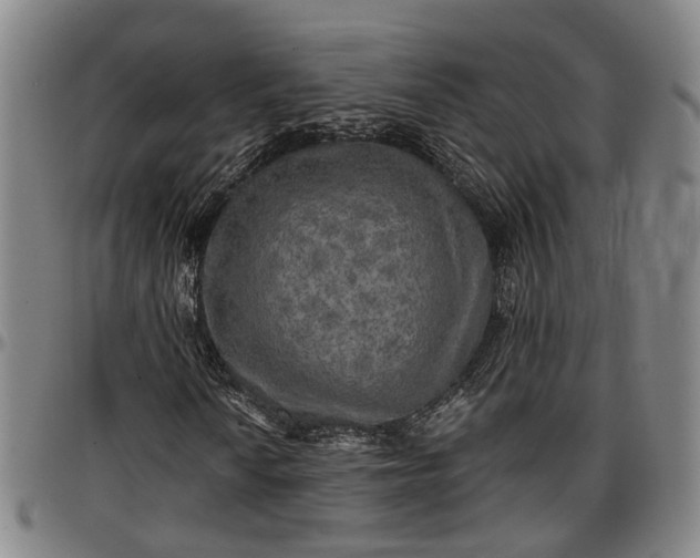 X0000096661010200802191301