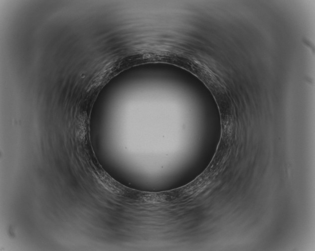 X0000096661012200802191301