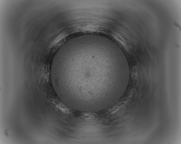 X0000096661015200802191301