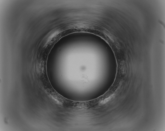 X0000096661016200802191301