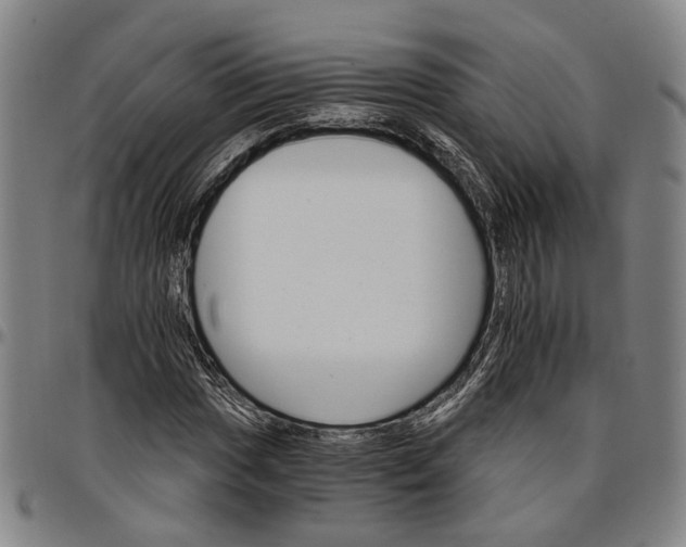 X0000096661017200802191301