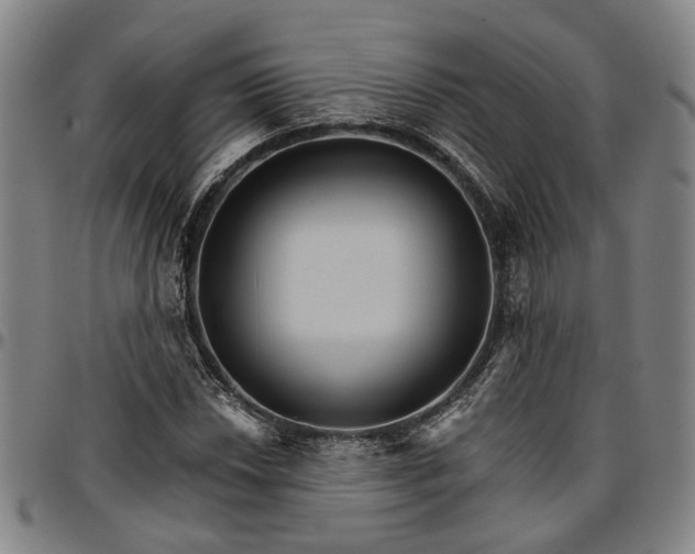 X0000096661018200802191301