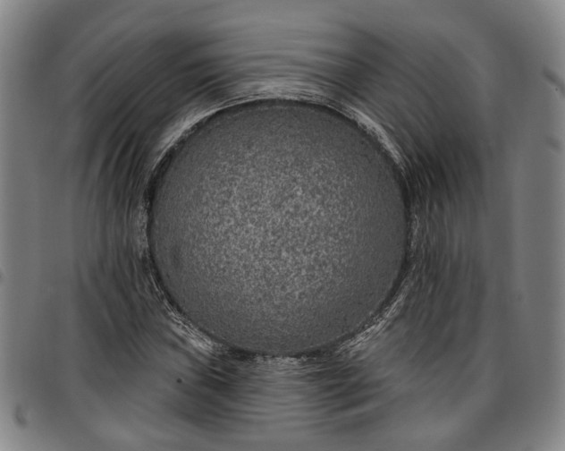 X0000096661019200802191301