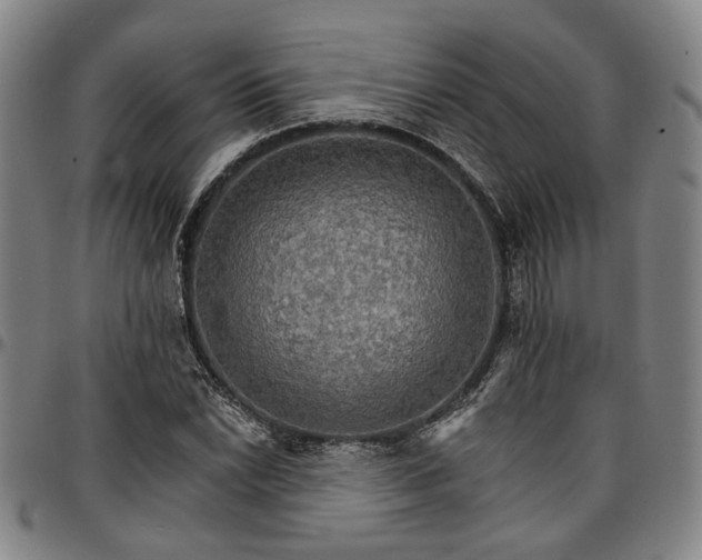 X0000096661022200802191301