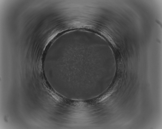 X0000096661023200802191302