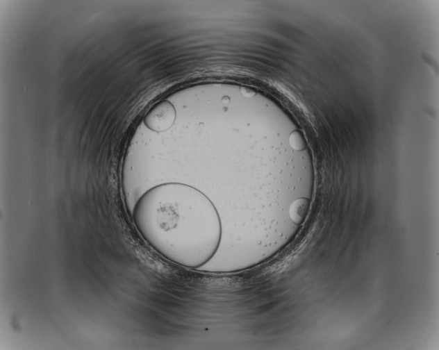 X0000096661025200802191302