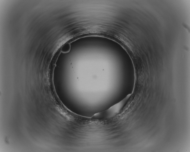 X0000096661026200802191302