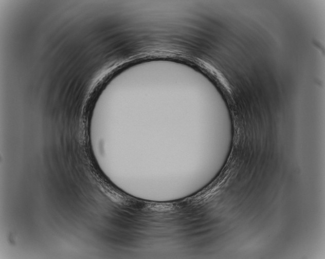 X0000096661027200802191302