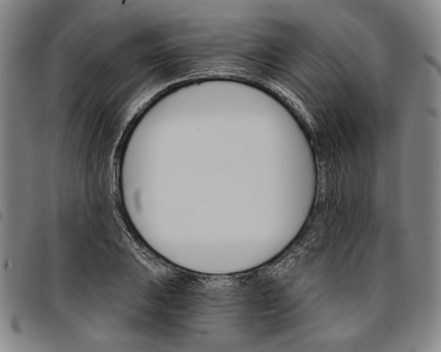 X0000096661031200802191302