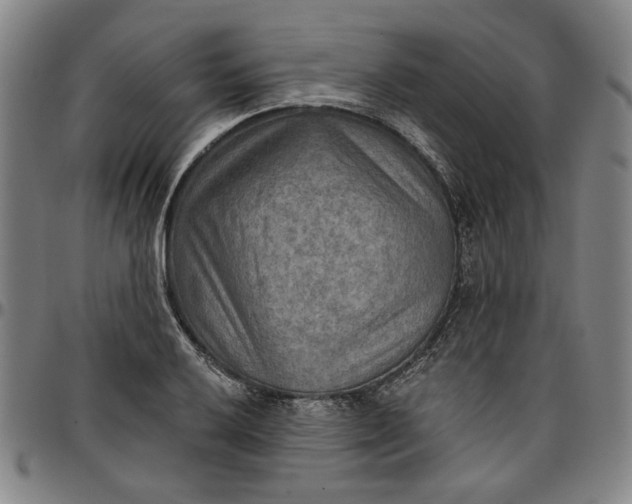 X0000096661032200802191302