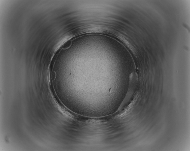 X0000096661034200802191302