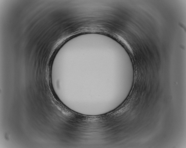 X0000096661035200802191302