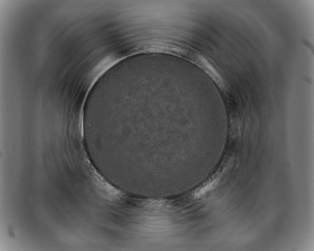 X0000096661036200802191302