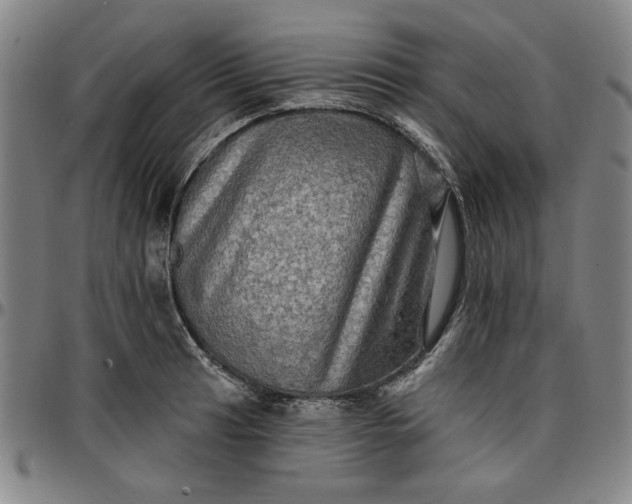 X0000096661041200802191302