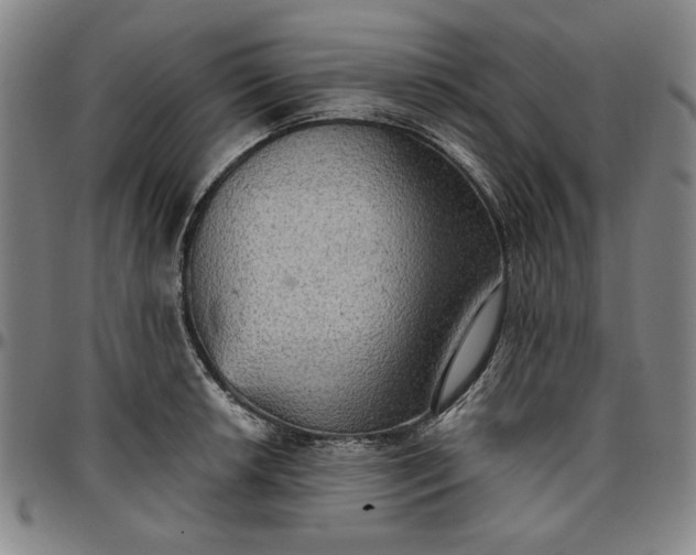 X0000096661042200802191302