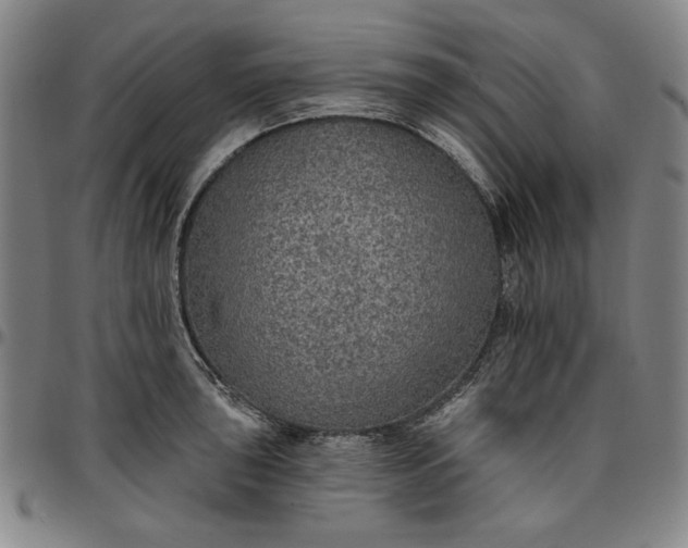 X0000096661043200802191302