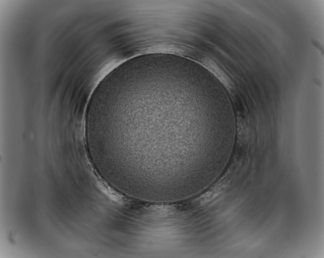 X0000096661044200802191302