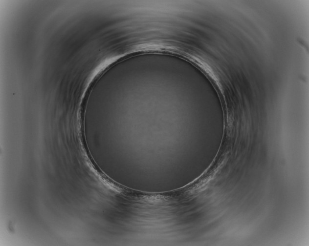 X0000096661045200802191302