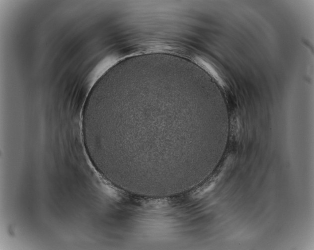 X0000096661047200802191302