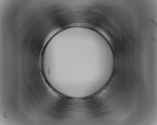 X0000096661050200802191302