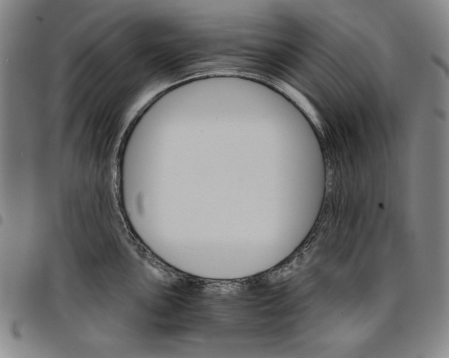 X0000096661051200802191302