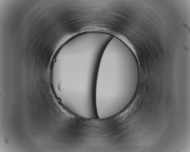 X0000096661053200802191302