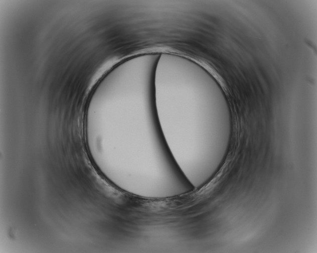 X0000096661054200802191302