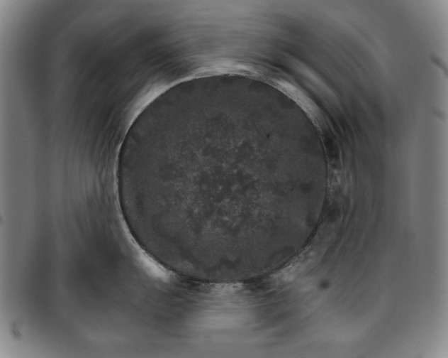 X0000096661055200802191302