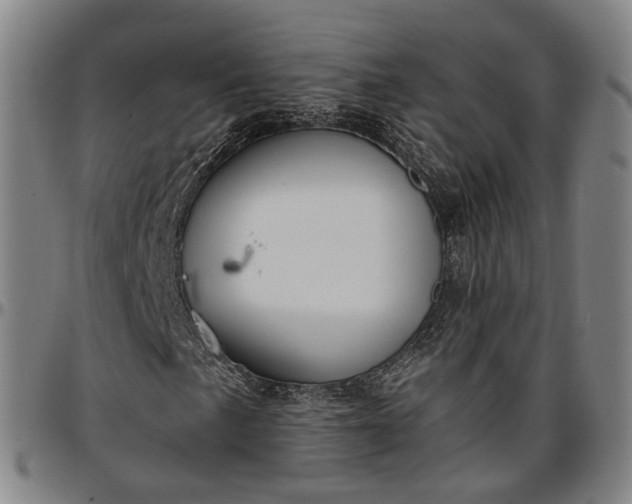 X0000096661057200802191301