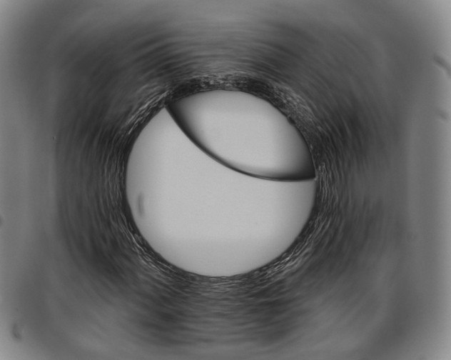 X0000096661060200802191301