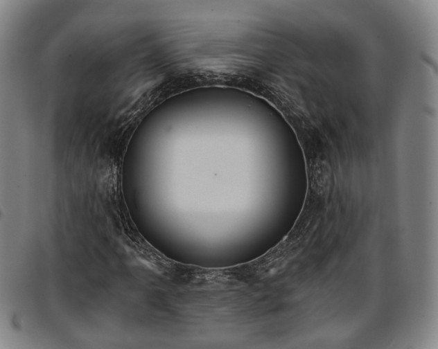 X0000096661061200802191301