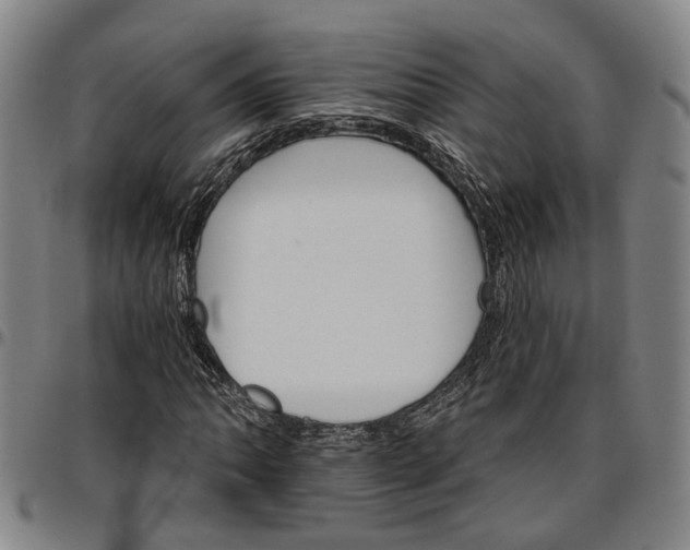 X0000096661062200802191301