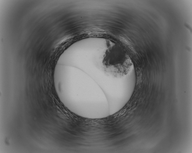 X0000096661063200802191301