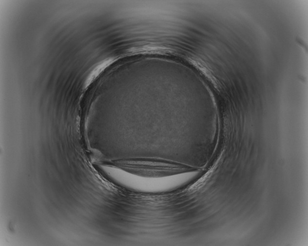 X0000096661066200802191301