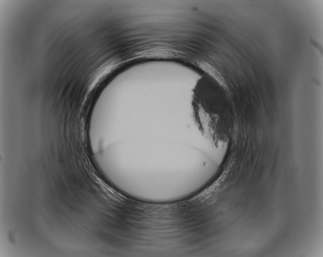 X0000096661067200802191301