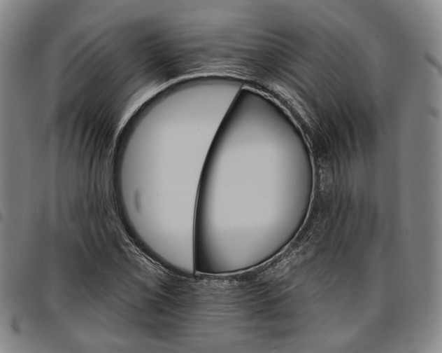 X0000096661069200802191301