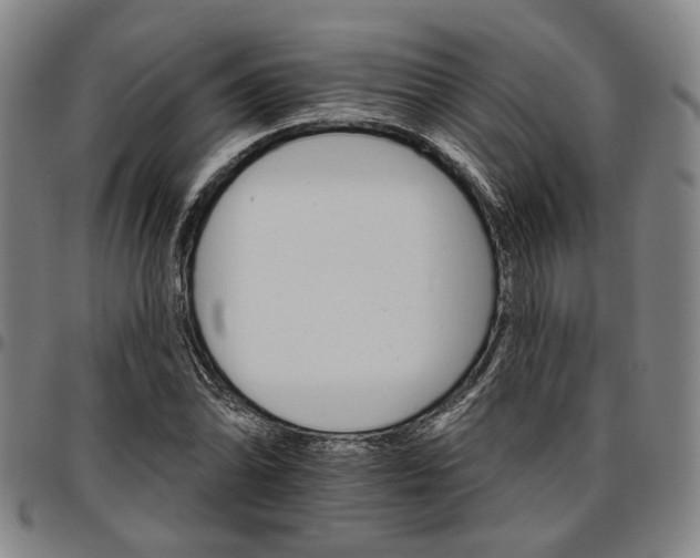 X0000096661070200802191301