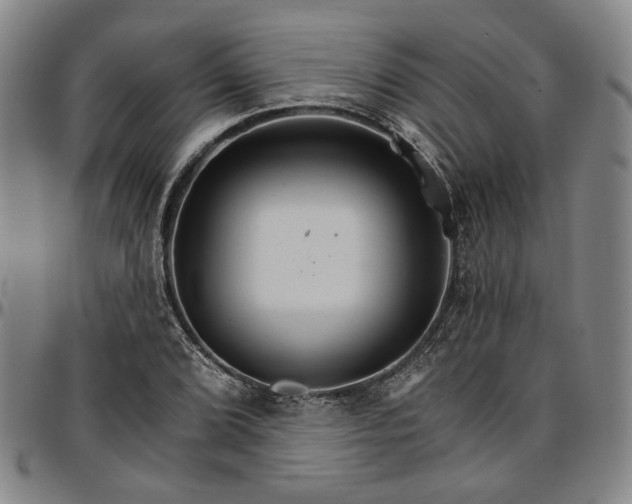 X0000096661072200802191301